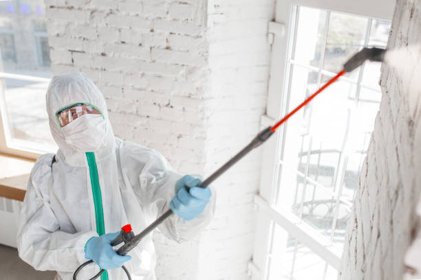 Best HVAC Mold Inspection and Cleaning  in Johns Creek, GA