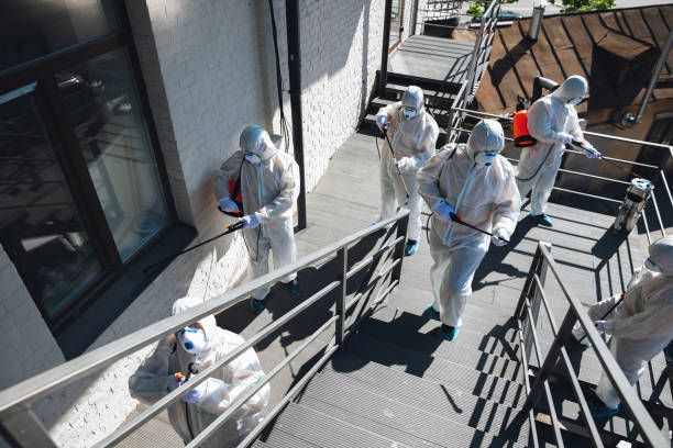 Professional Mold Removal in Johns Creek, GA