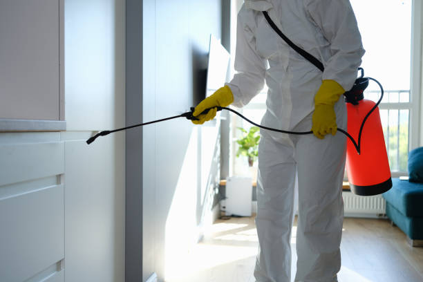 Best Mold Prevention Services  in Johns Creek, GA