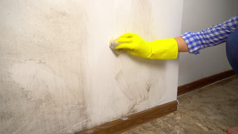 Best Black Mold Removal  in Johns Creek, GA