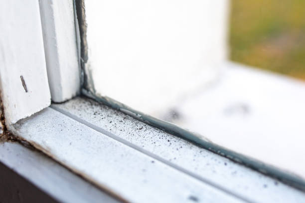 Biohazard Mold Removal in Johns Creek, GA