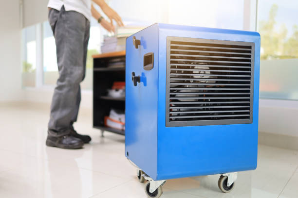 Best Mold Removal for HVAC Installations  in Johns Creek, GA